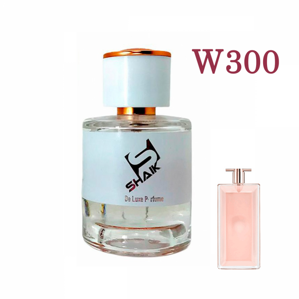 LANCOM IDOLE_W300 لانكوم ايدل